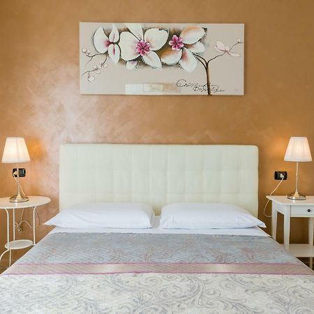 B&B Le City Монтесильвано Экстерьер фото